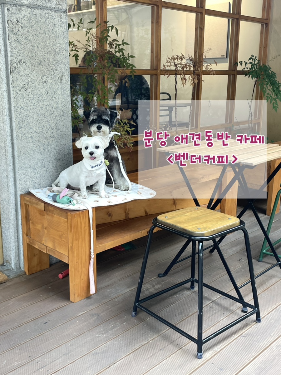 벤더커피 야외 좌석의 반려견들