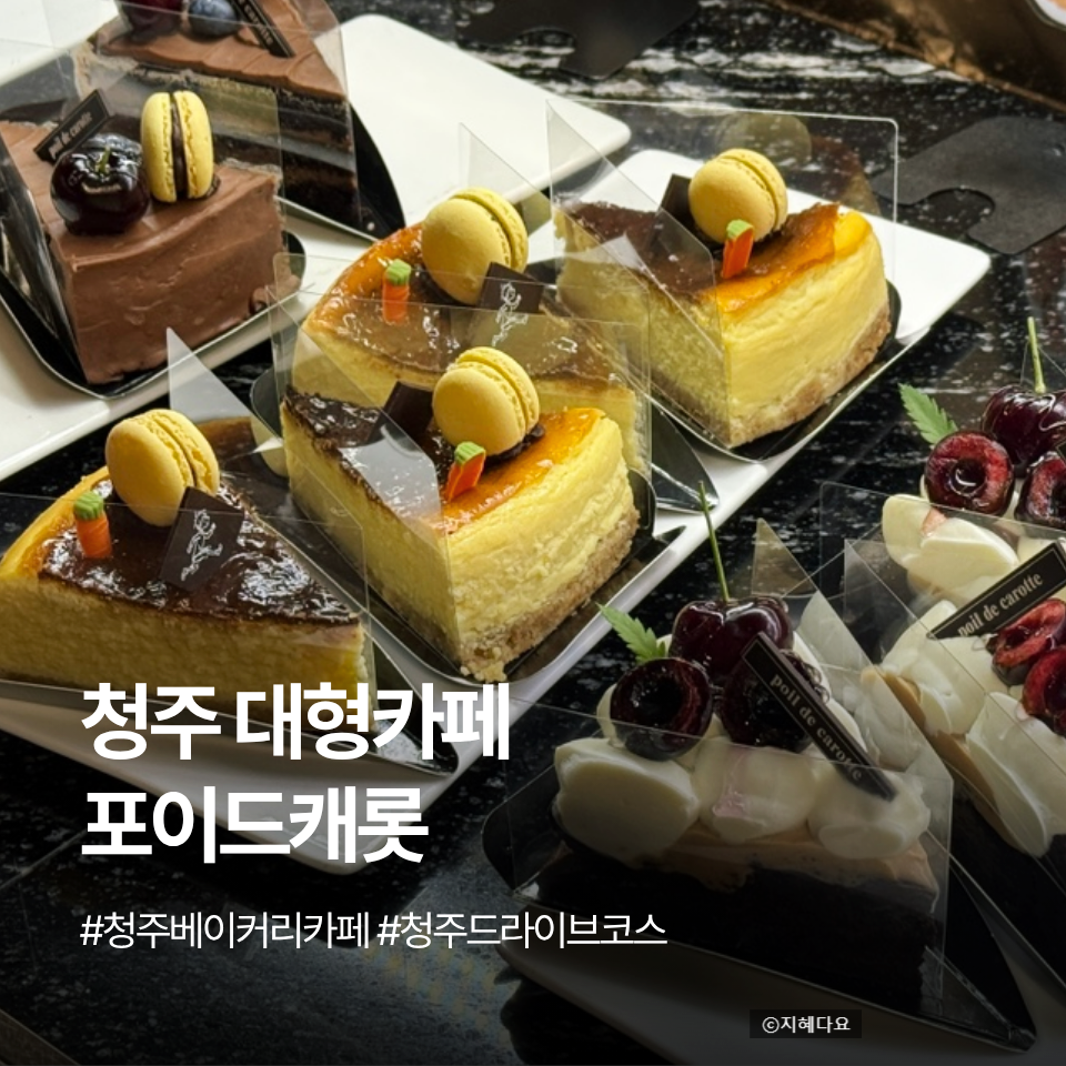 [청주] 주차 걱정 없는 뷰 맛집, 이번 주말 가볼 만한 카페
