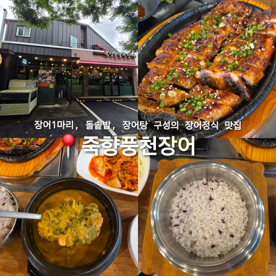 [담양] 관방제림에서 만난 맛집
