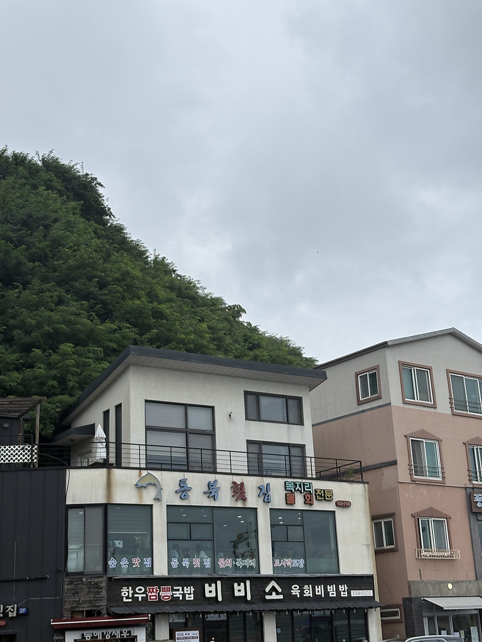 비비소 내부