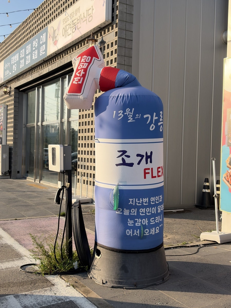 13월의 강릉 해변 전망