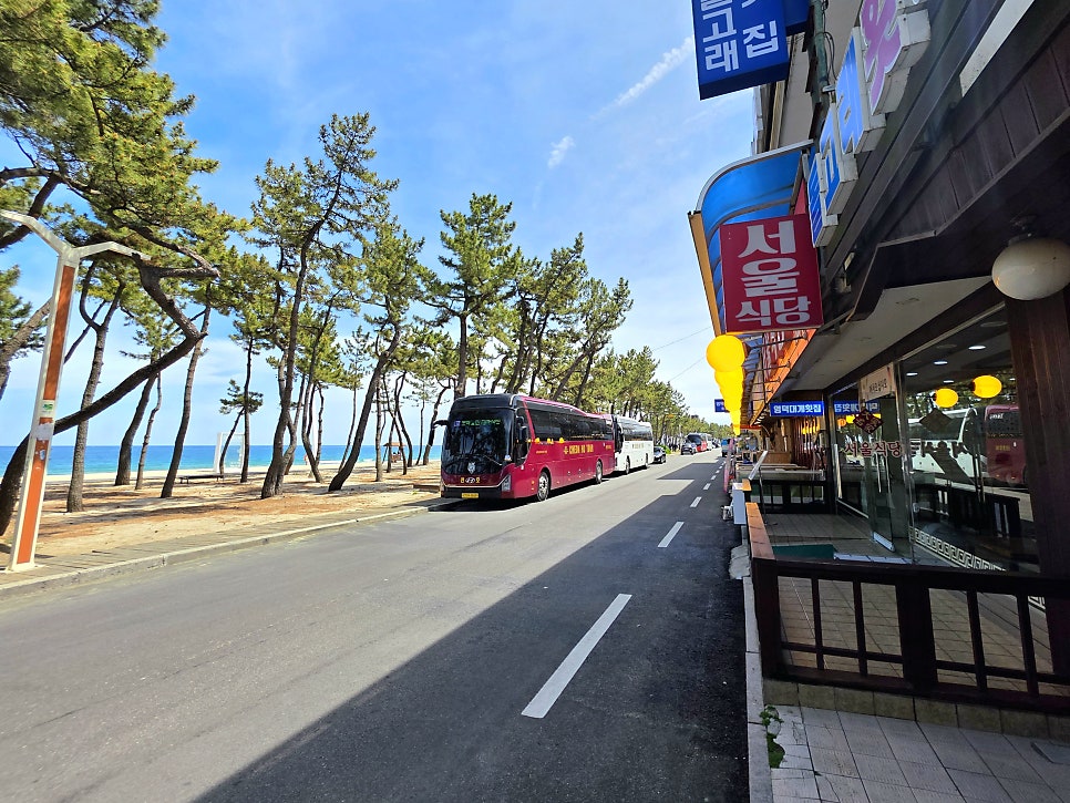 강릉 경포해변, 42년 전통 가성비 밥집 '서울식당'