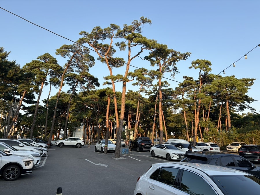 동화가든 본점 짬뽕순두부