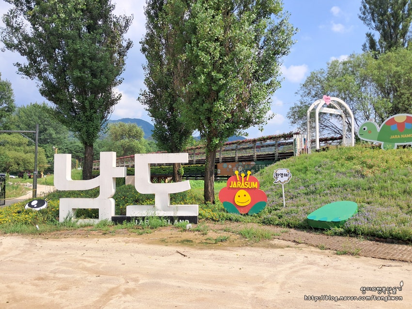 가평 자라섬 카페 5곳 — 감성부터 실용까지
