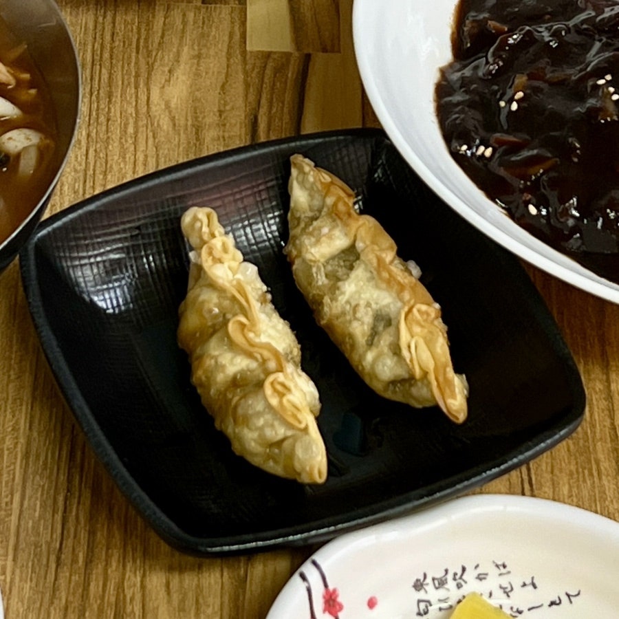 바삭하게 튀겨낸 군만두