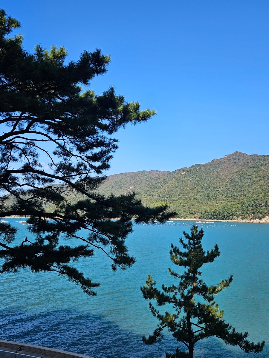 주차 공간