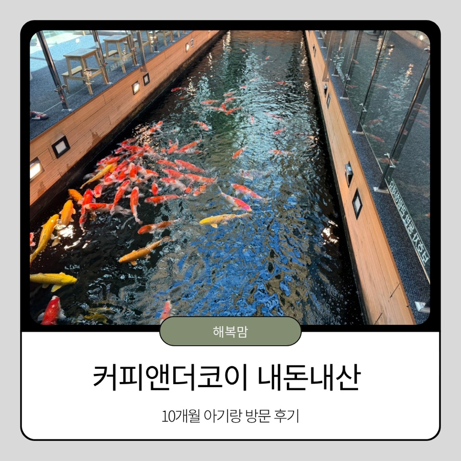 [김해] 비단잉어 보러 온 아이가 안 가겠다는 카페