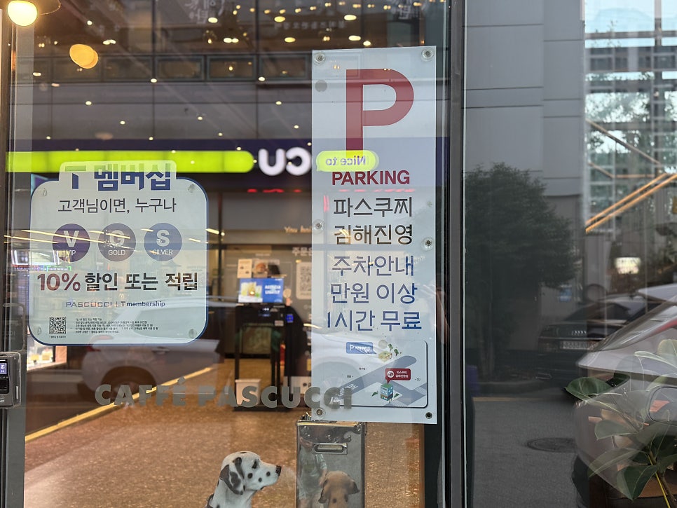 파스쿠찌 김해진영점 매장 입구