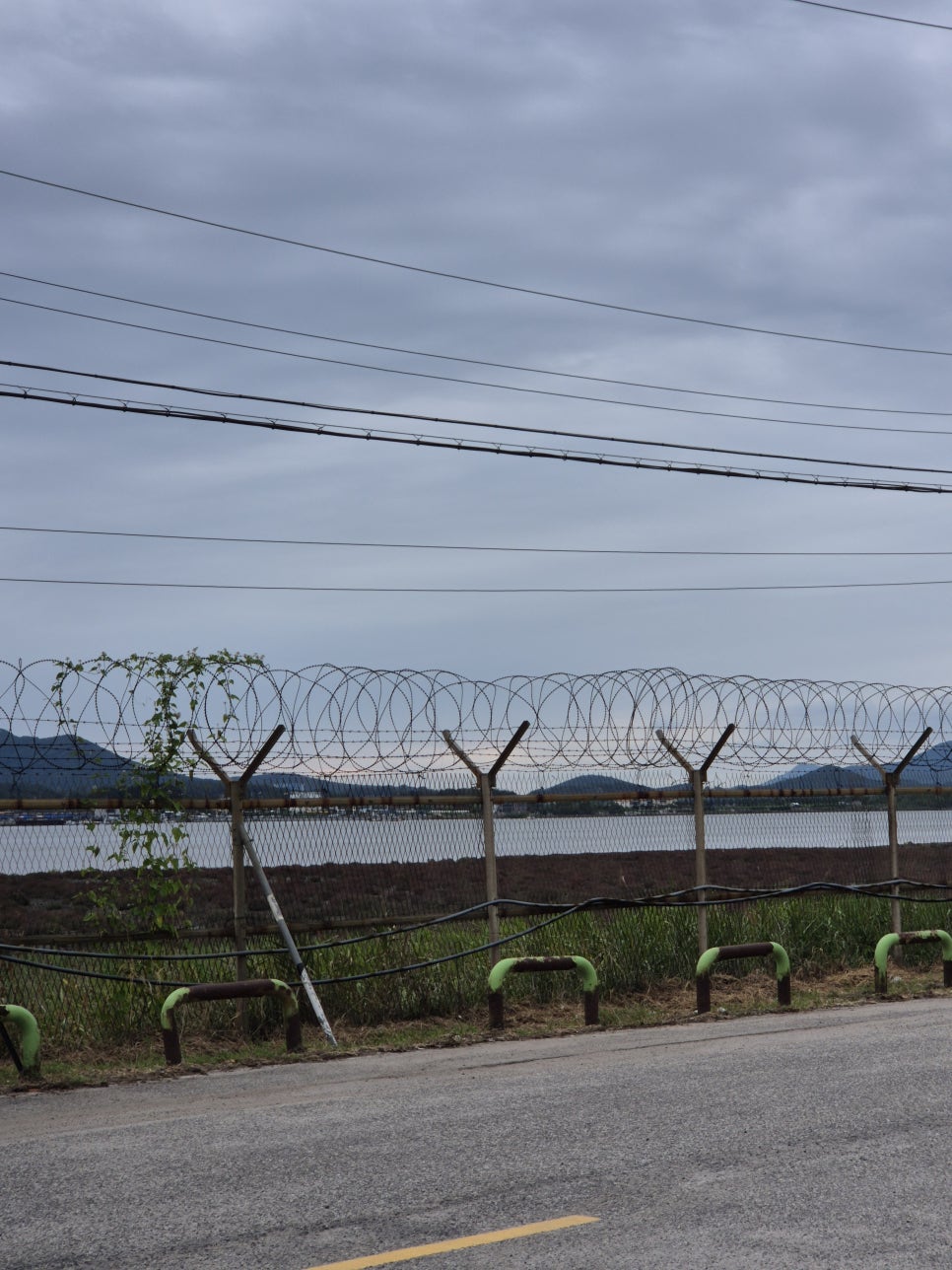 해변 뷰