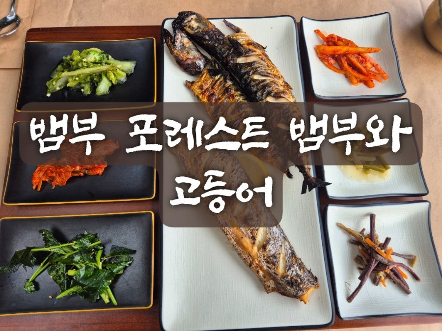 뱀부와고등어의 고급스러운 분위기