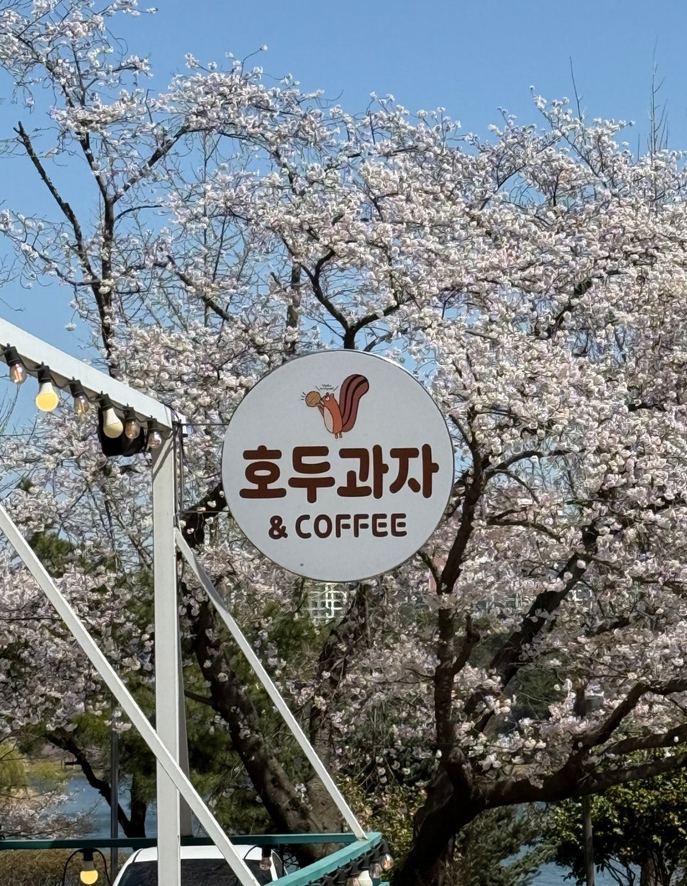 헬로우인더숲 호두과자 안내판