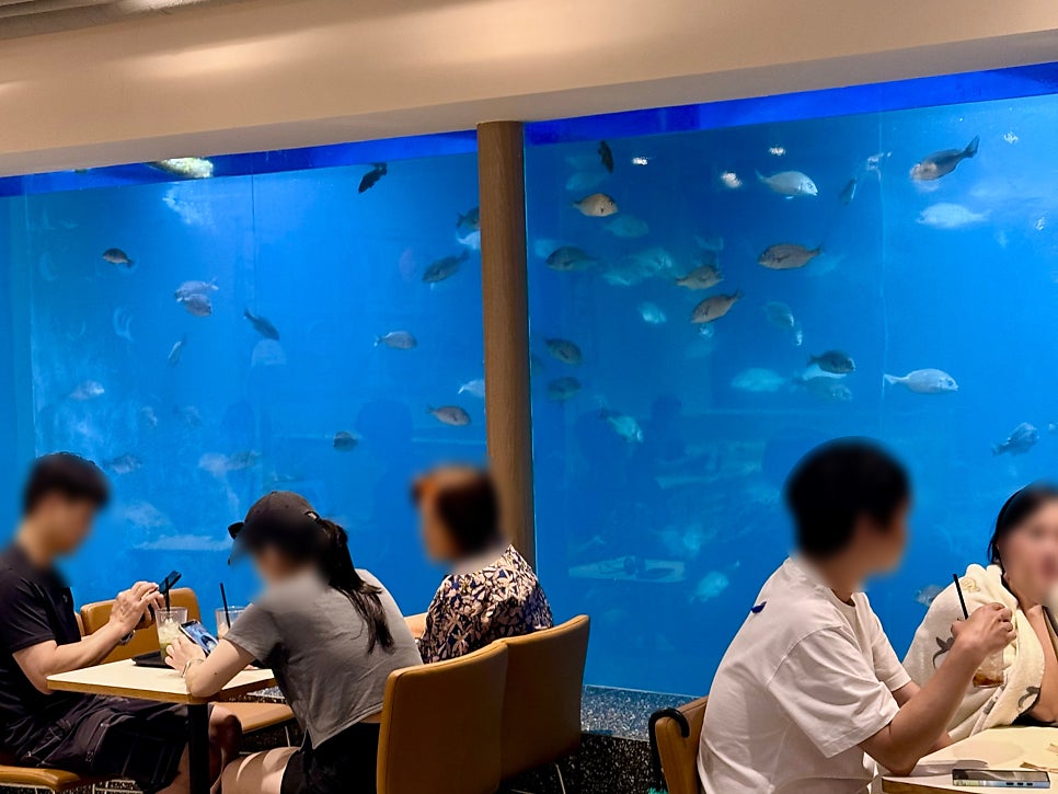 투썸플레이스 감포항점 실내 수족관 뷰
