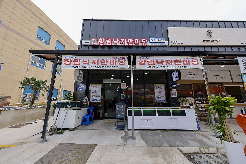 무안읍 30년 전통 갯벌낙지 전문점, 향림낙지한마당