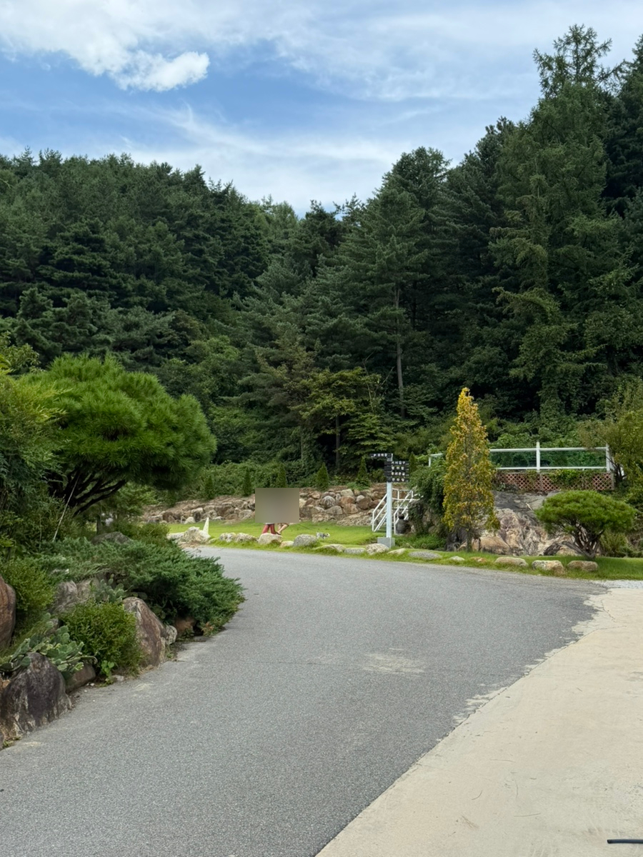 천마루 주변의 자연 경관. 숲과 잔디밭이 어우러진 야외 공간입니다.