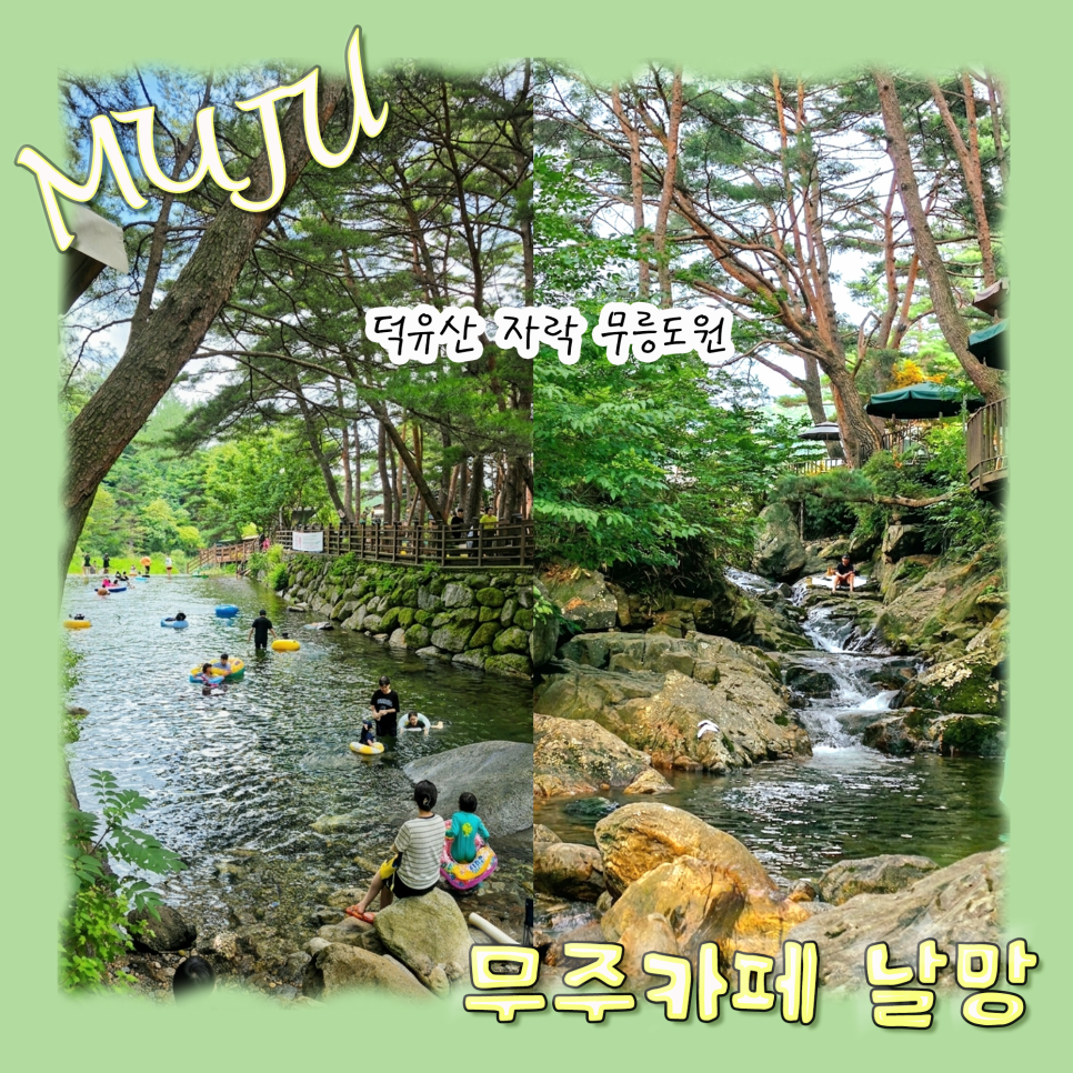 카페 입구의 자연 경관