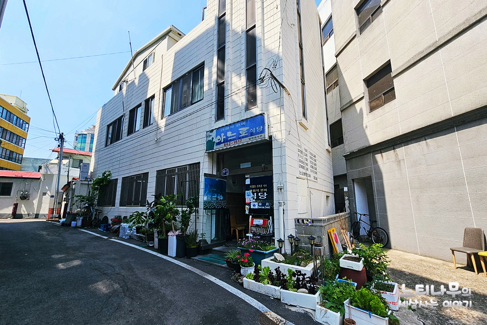 신선한 회