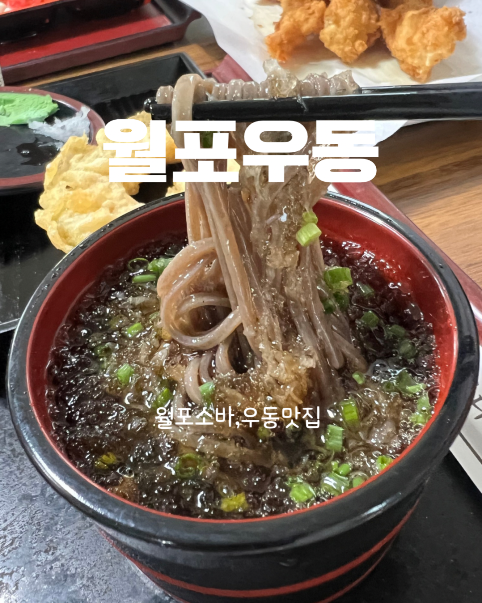 월포우동