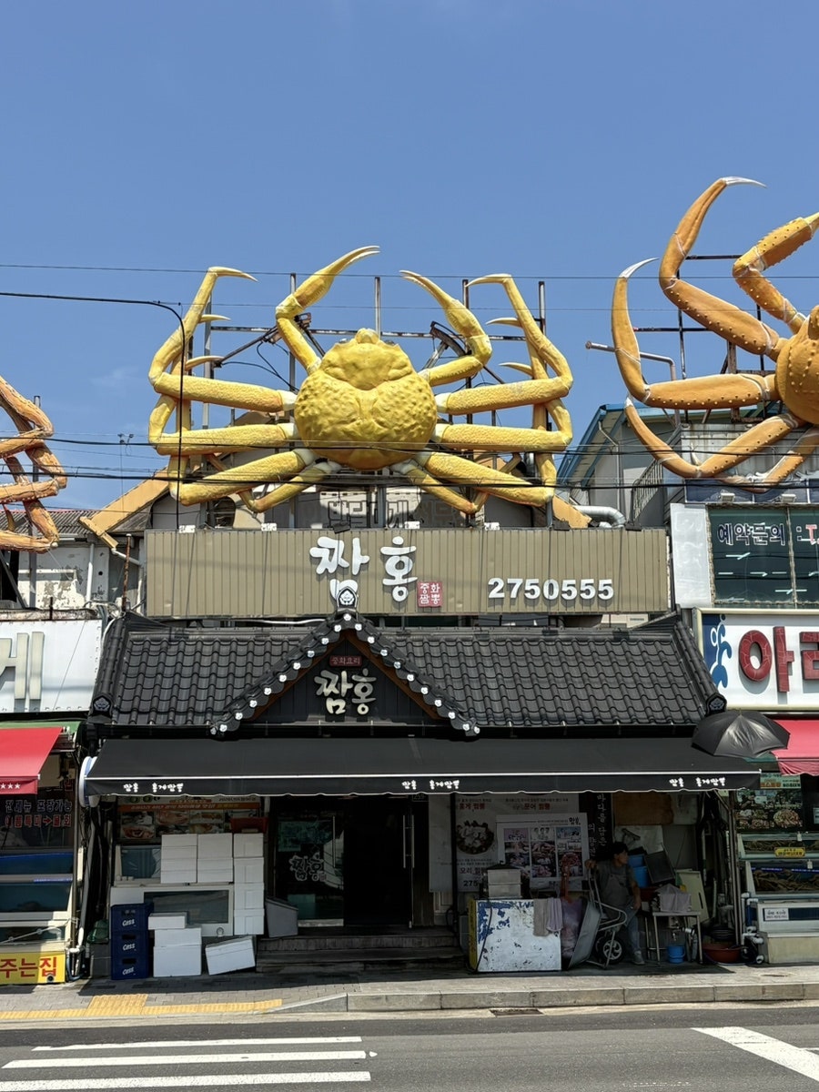 포항 구룡포 일본인가옥거리 근처, 홍게 통째로 올라가는 '짬홍'