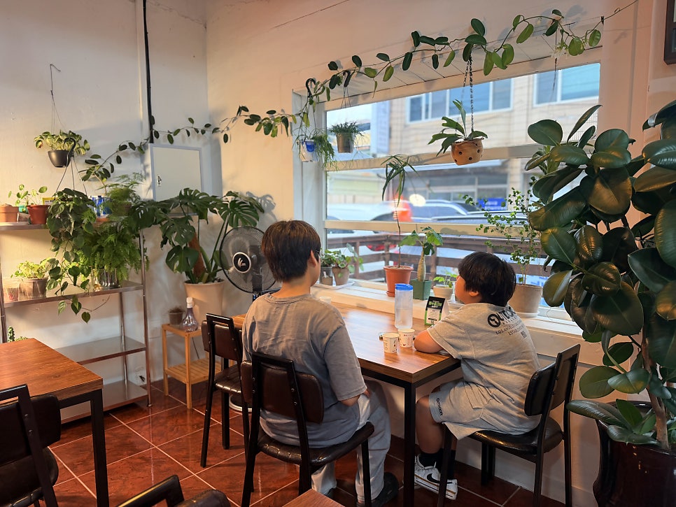 가게 내부 모습. 식물이 가득하고, 테이블 간 거리가 넓어 여유로운 식사 분위기입니다