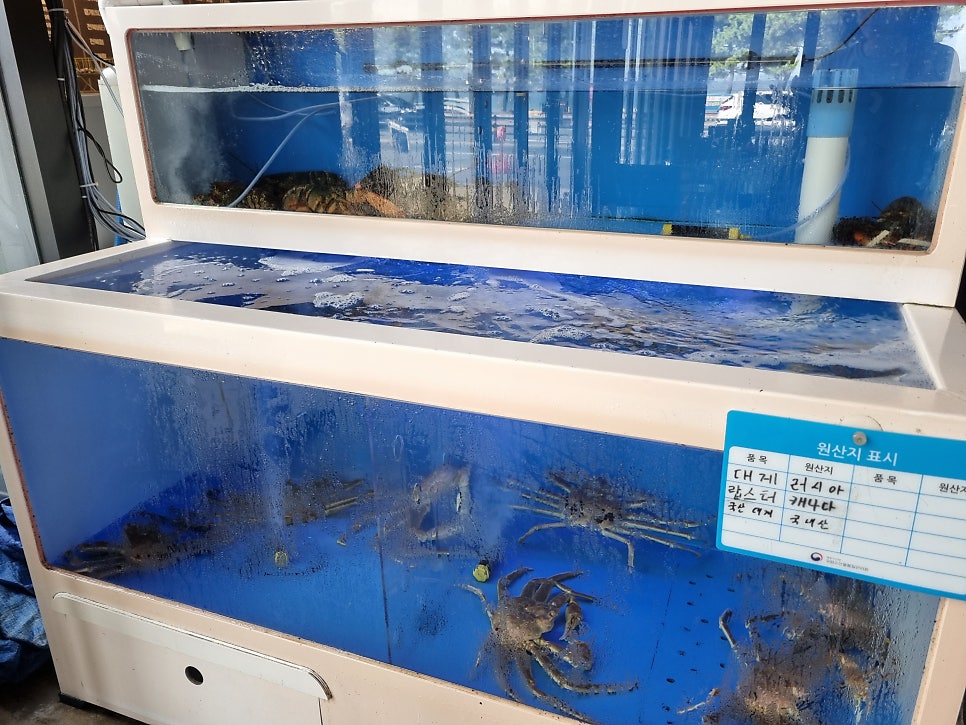 마당집 조개구이 모습