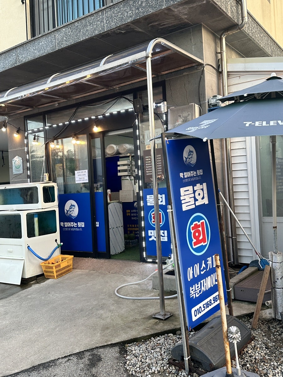 삼척 장호항 가성비 막회, '막 썰어주는 횟집'