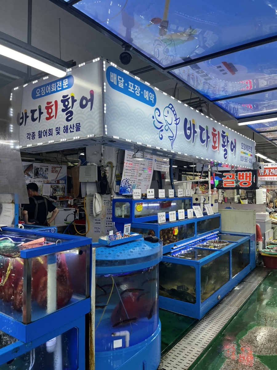 삼척 쏠비치 인근 삼척중앙시장, 가격표부터 보여주는 활어회 '바다회활어'