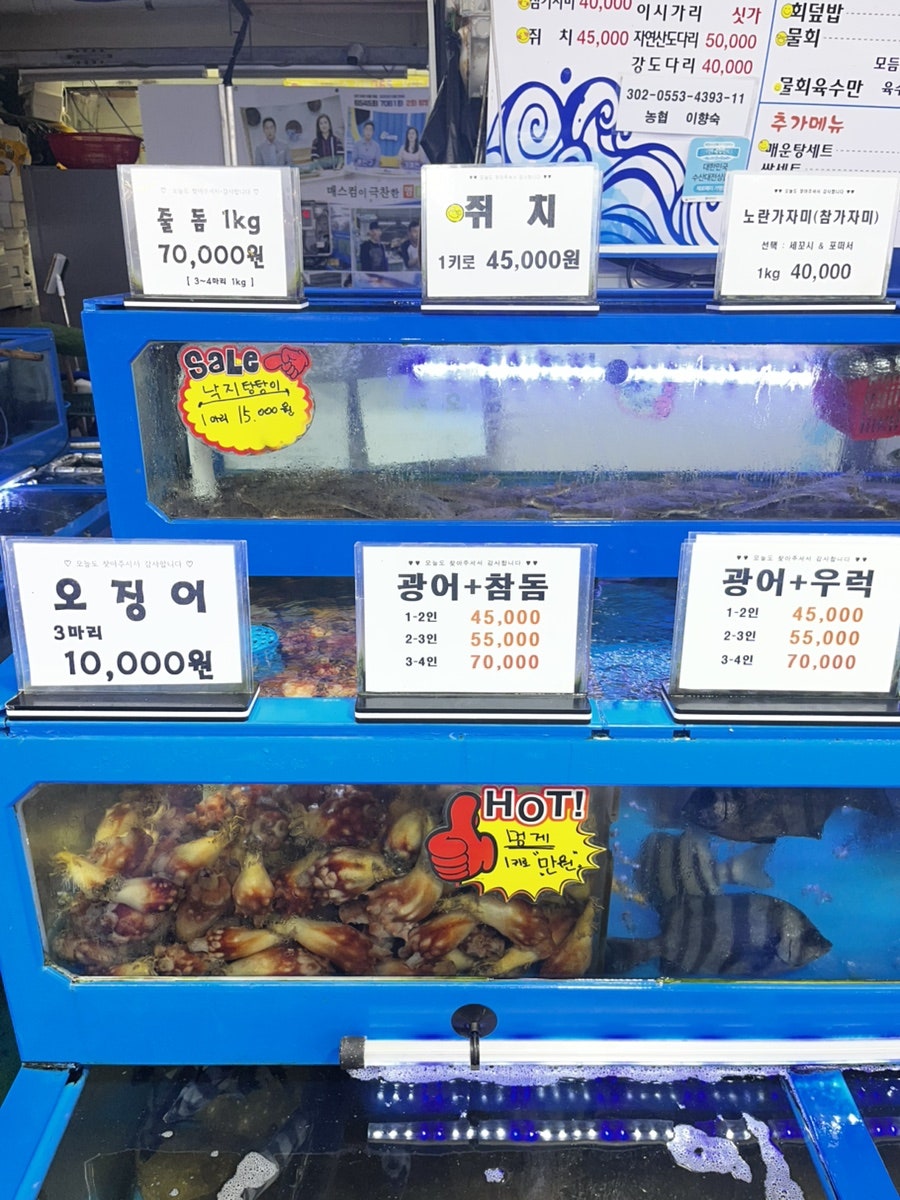 수조 위에 붙은 가격표. '오징어 3마리 10,000원'이 큼지막하게 적혀 있고, 광어·우럭 세트 가격도 인원수별로 나뉘어 있습니다.