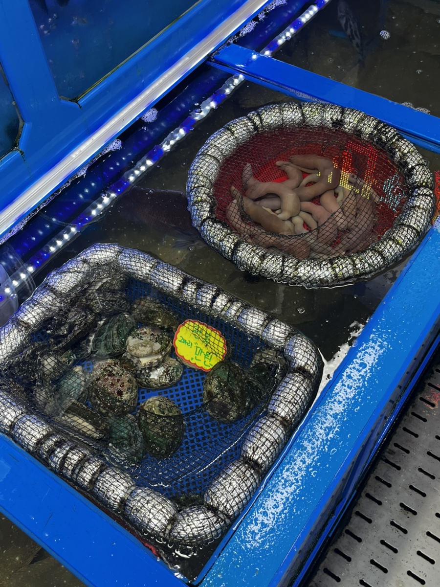 수조에 담긴 전복과 개불. 오징어회 외에도 다양한 해산물을 갖추고 있습니다.