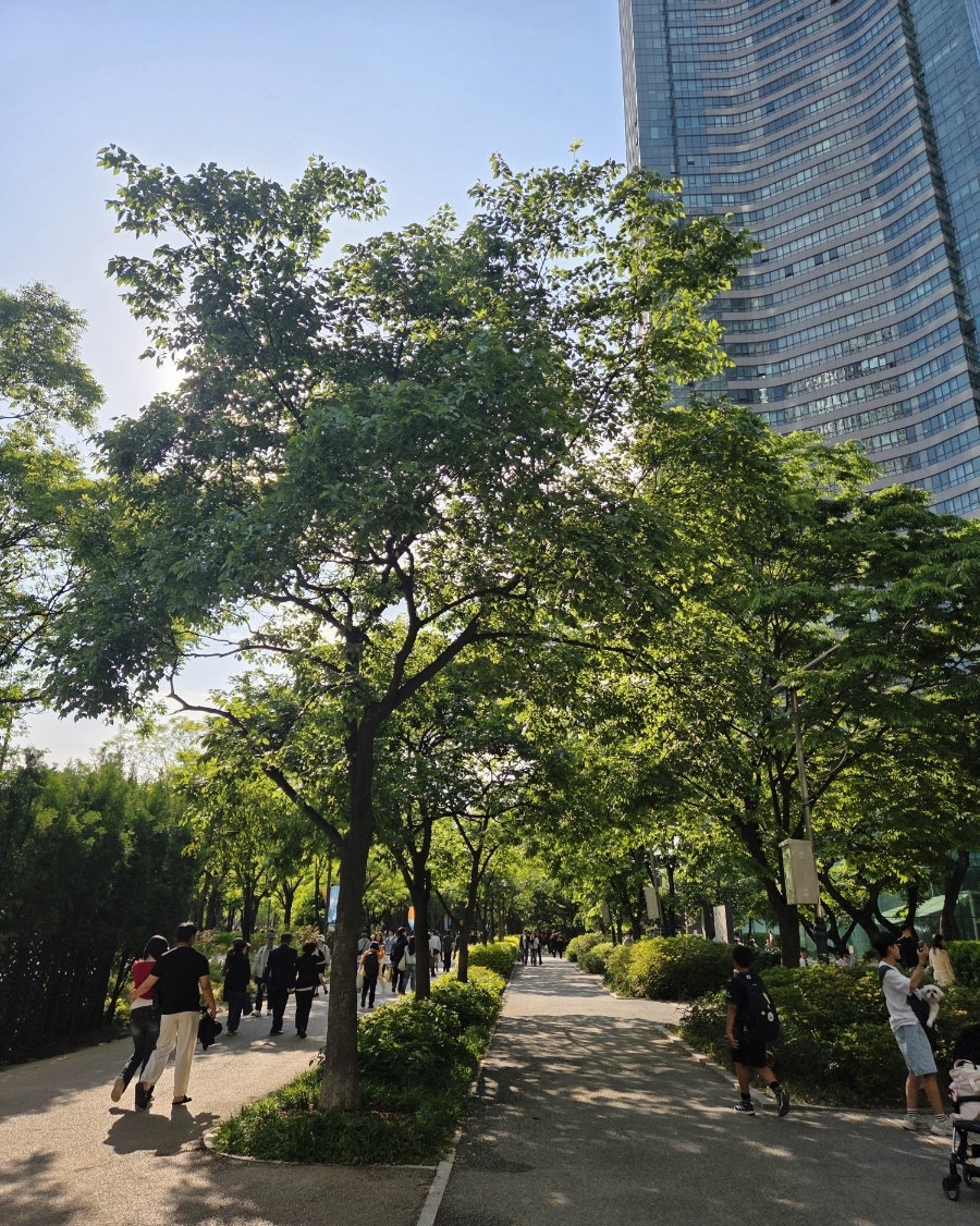 [서울 서울숲] 공원 산책 후 즐기는 맛집