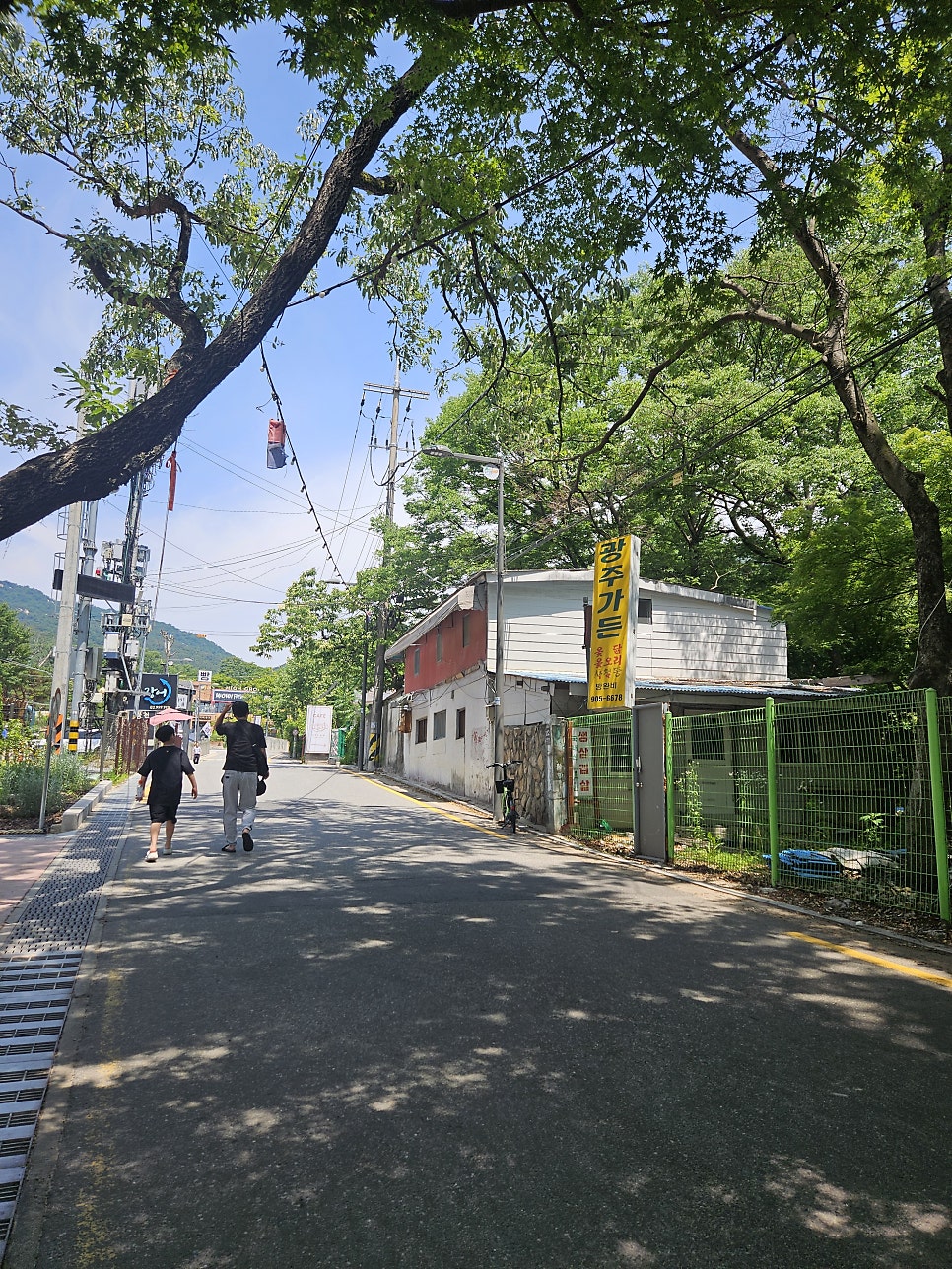 보양식 상차림