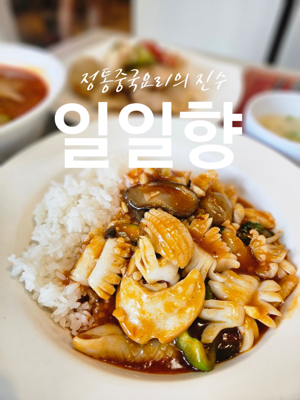 한남역 중국집 일일향, 가성비 좋은 회식 모임장소