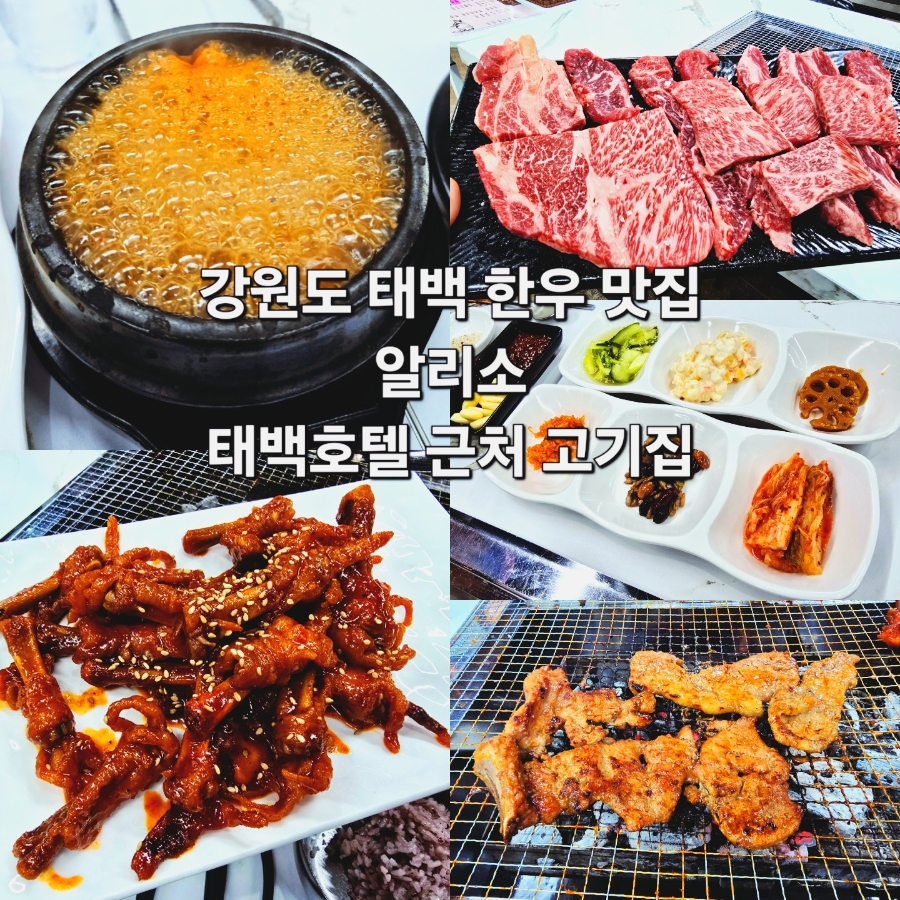 [태백] 가성비 맛집