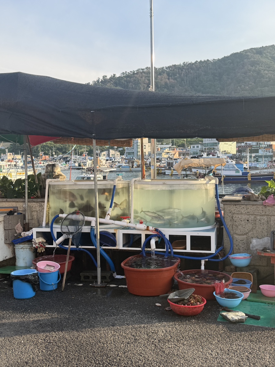 해녀포차 해산물