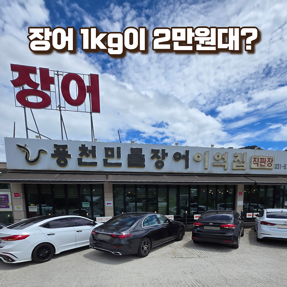 이억집 민물장어