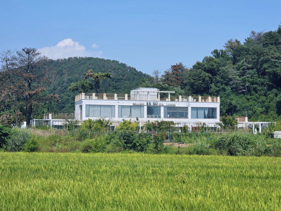 [울산] 강아지도 당당한 손님, 배려가 남다른 반려동반 카페