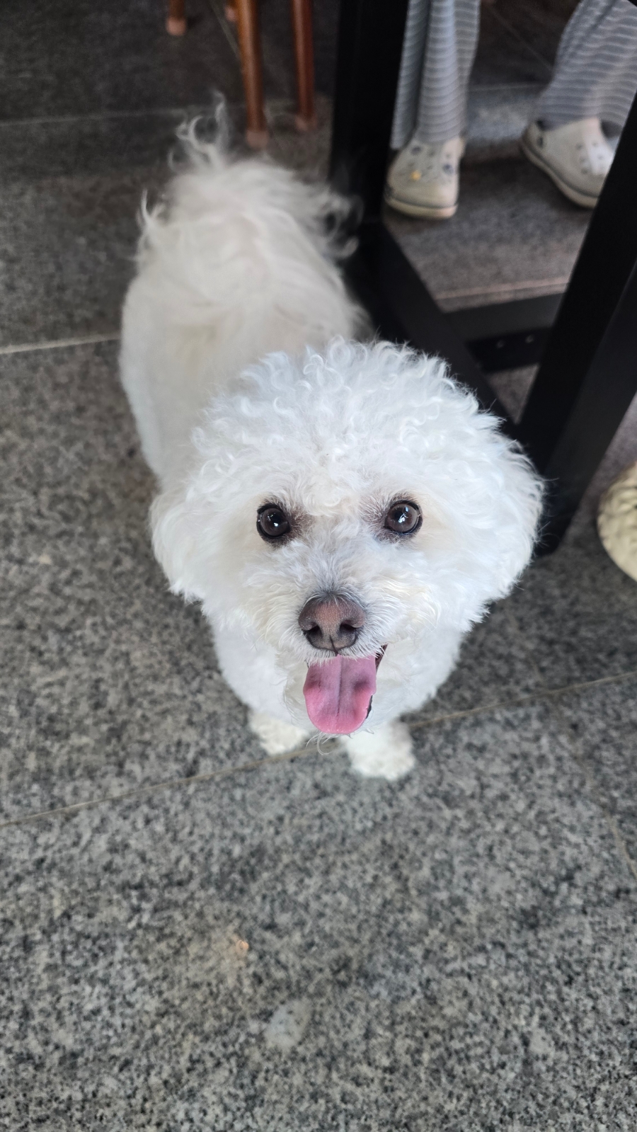 몽돌카페 2층 전망