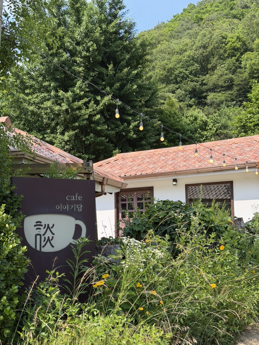 [원주] 반려견이랑 눈치 안 보고 놀러가기 좋은 카페