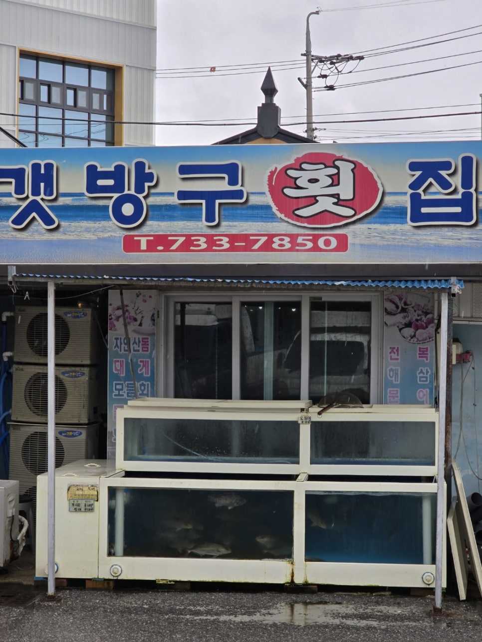 영덕시장에서 집에 가져가는 포장회, 갯방구횟집